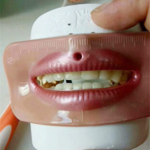 proshesis denture checker for dental laboratory