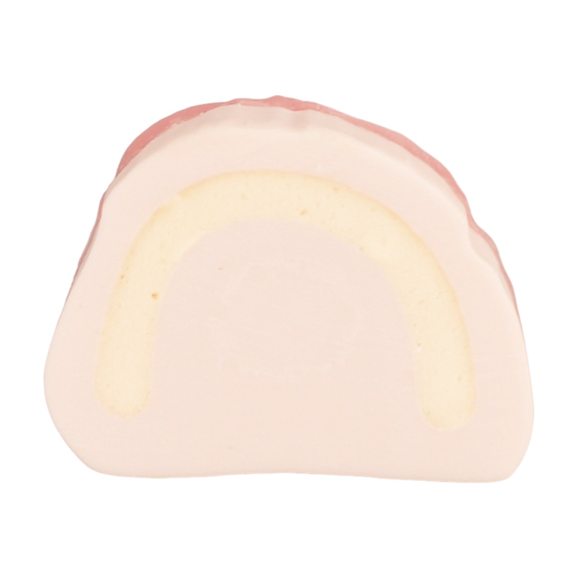Edentulous Surgical Simulation Model - Image 2
