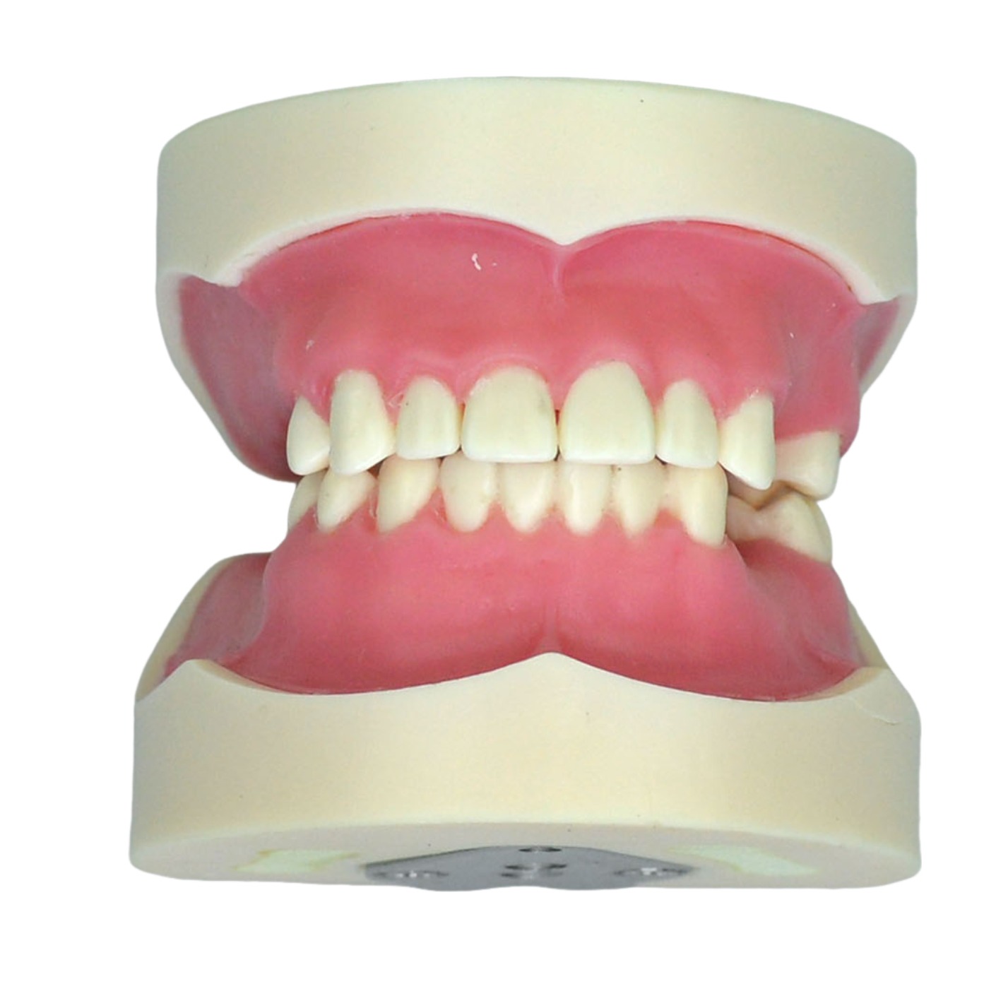 General Training Model for Handpiece Practice - Image 4