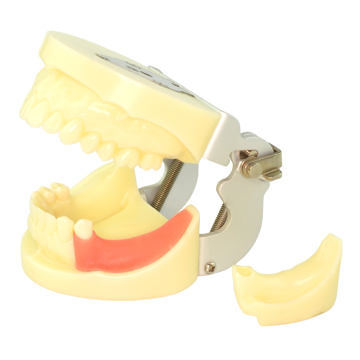 Phantom Head with Implant Module