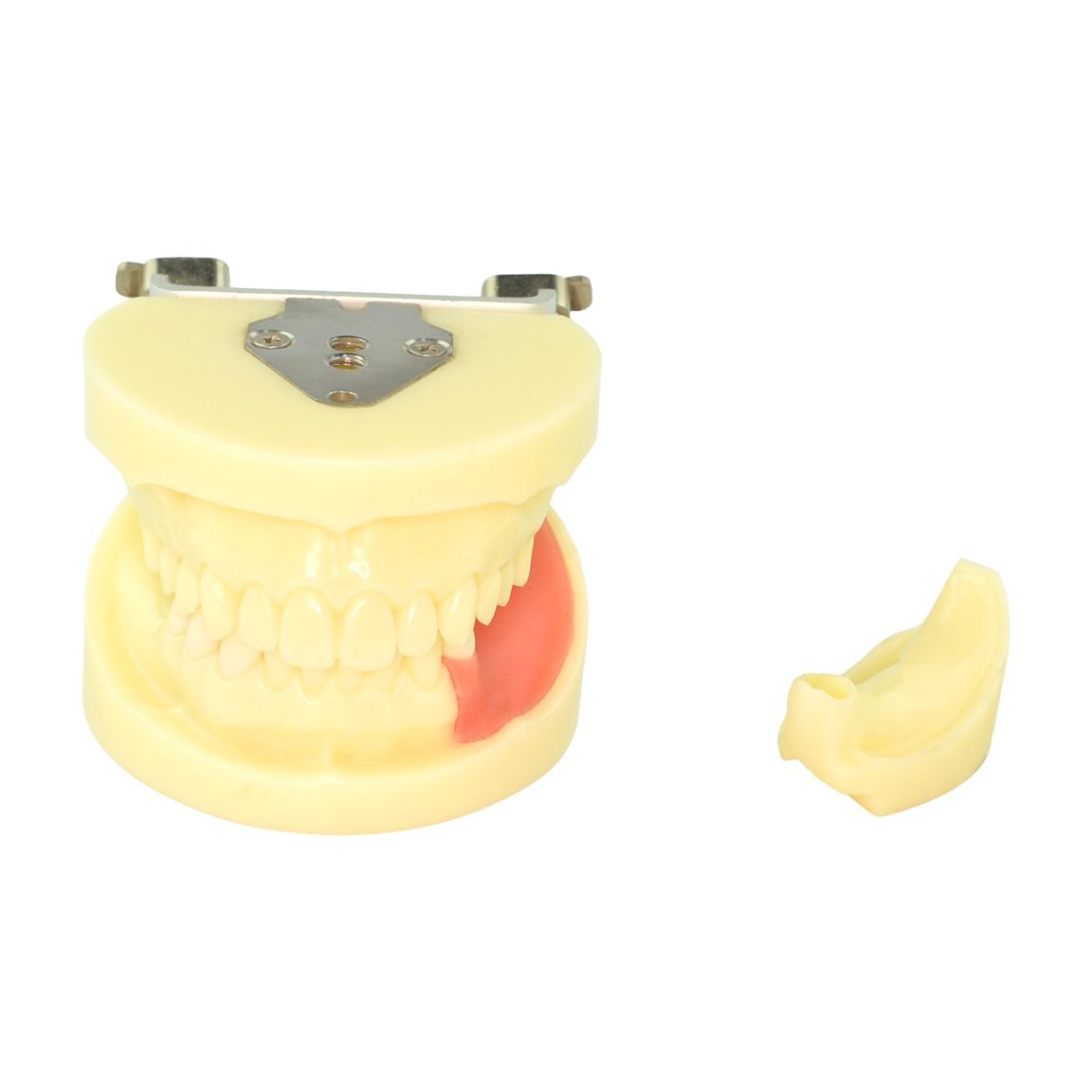Surgical training dental model modular interchangeable alveolar ridge inserts