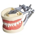dental simulation unit