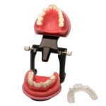 orthodontic braces wax typodont with articulator