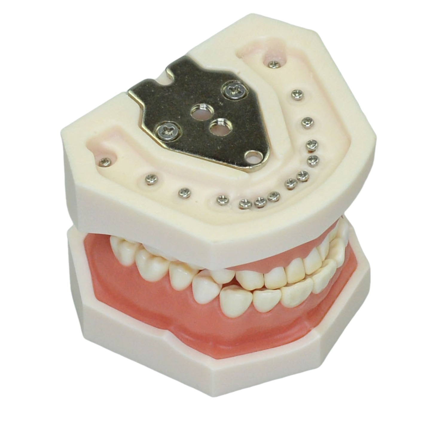 General Training Model for Handpiece Practice - Image 2
