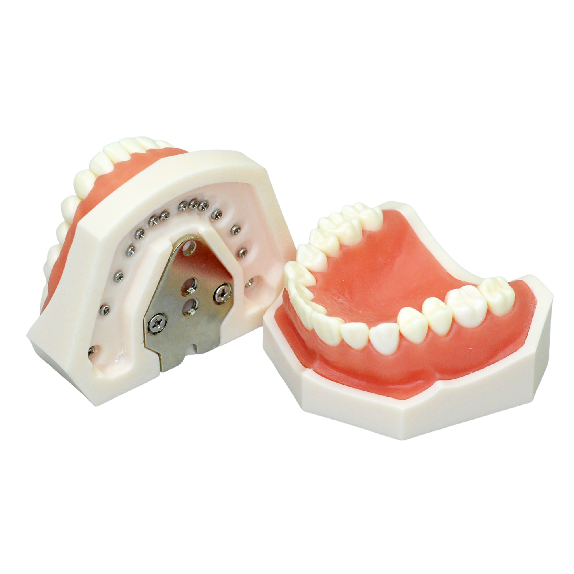 techning model without articulator for phantom head