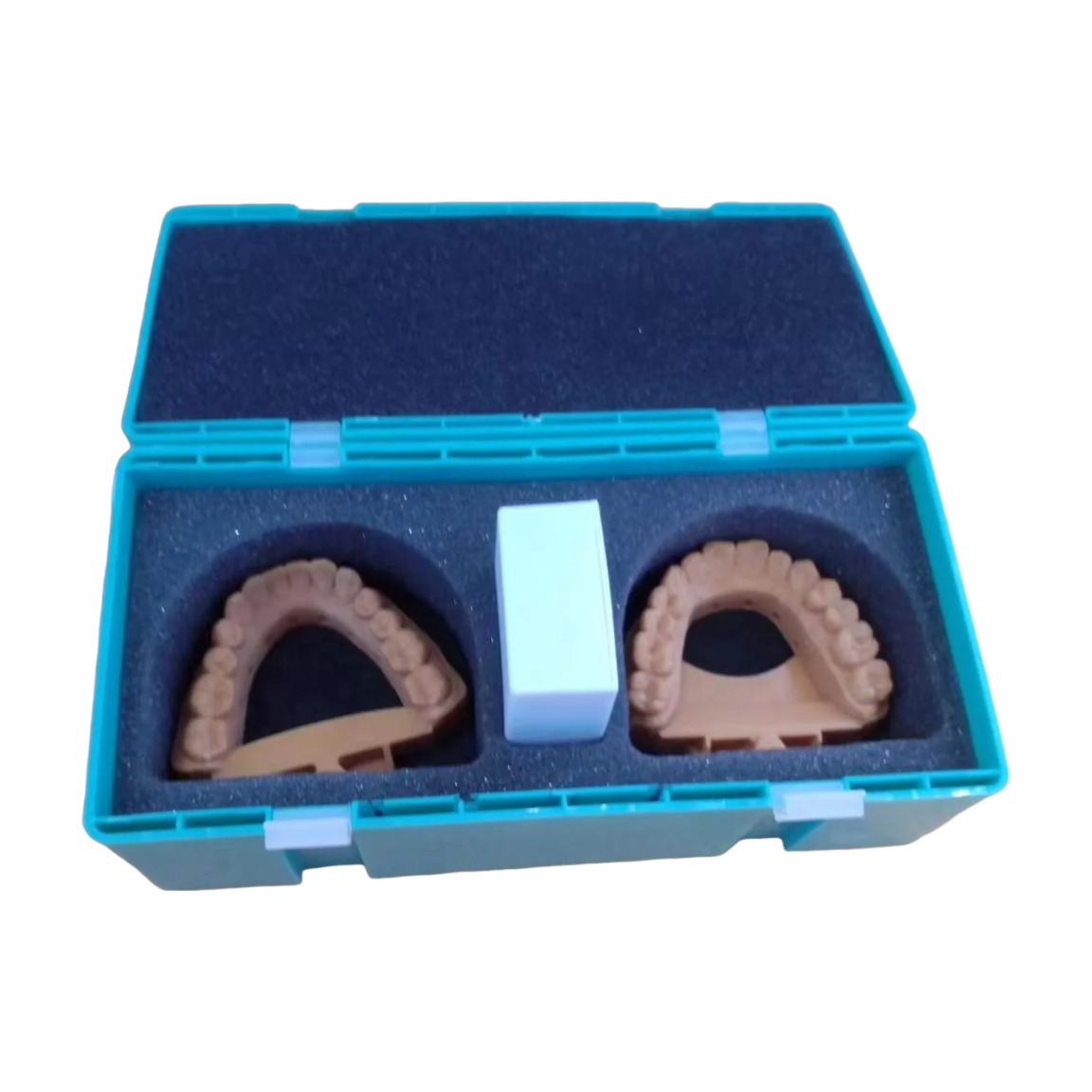 Dental Model Transport Box with Foam Insert 100Pcs - Image 2